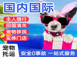 滋润机场托运国际宠物托运 【国